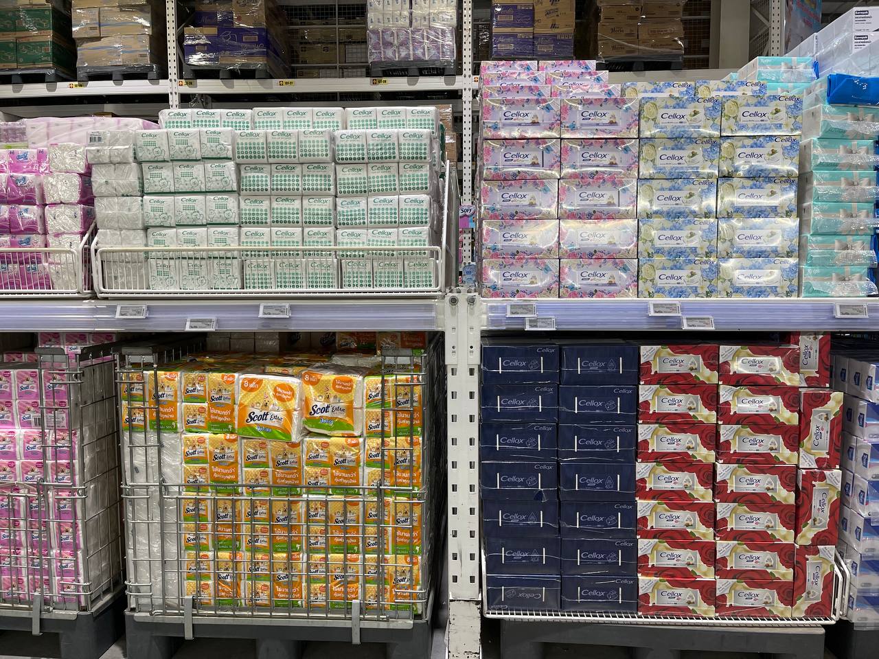 Modern Trade Distribution of Cellox and Hygienist Products by BJC at Makro Cambodia 12 Dec - Image 21